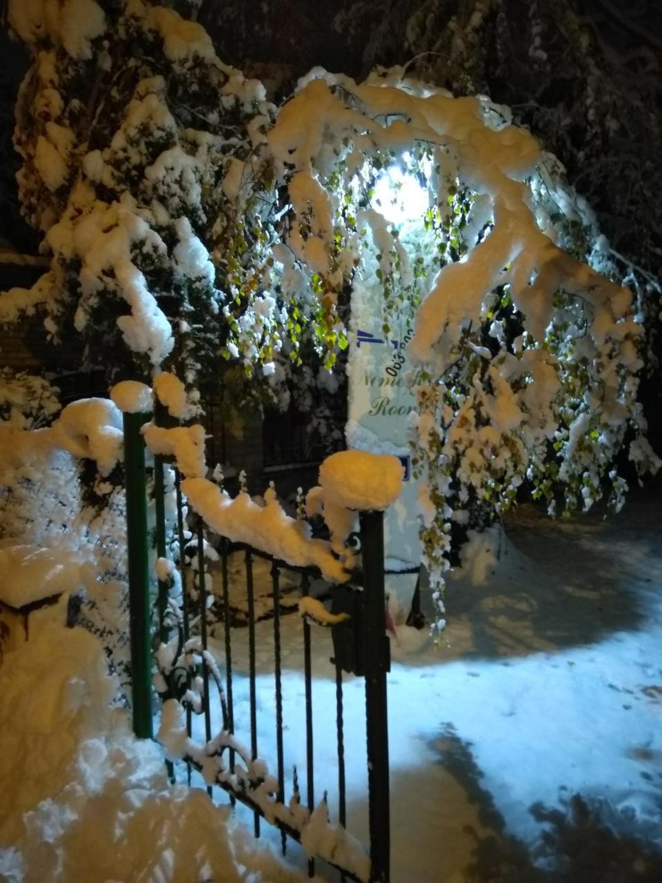 Nemeth Rooms Palić Buitenkant foto